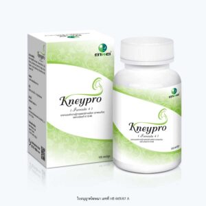 Kneypro Formula 4 ยาสมุนไพรจีน เลขทะเบียน K13/48