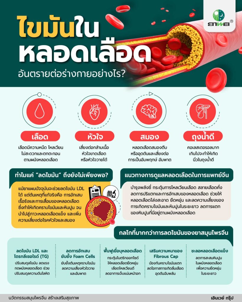 ลดภาวะไขมันในเลือดสูง ดูแลหลอดเลือดให้โล่งสะอาด