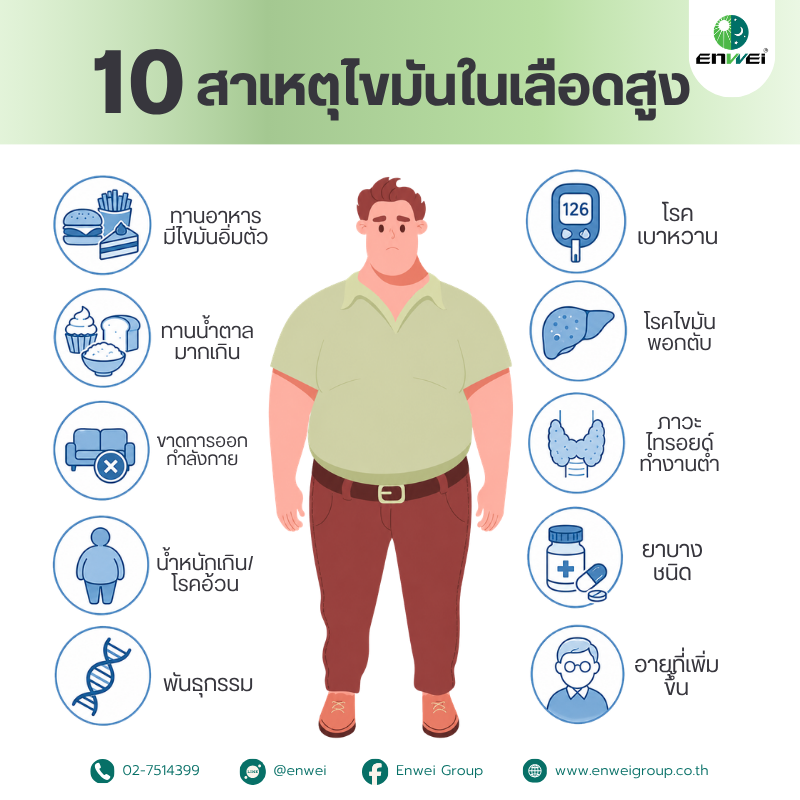 10 สาเหตุของไขมันในเลือดสูง
