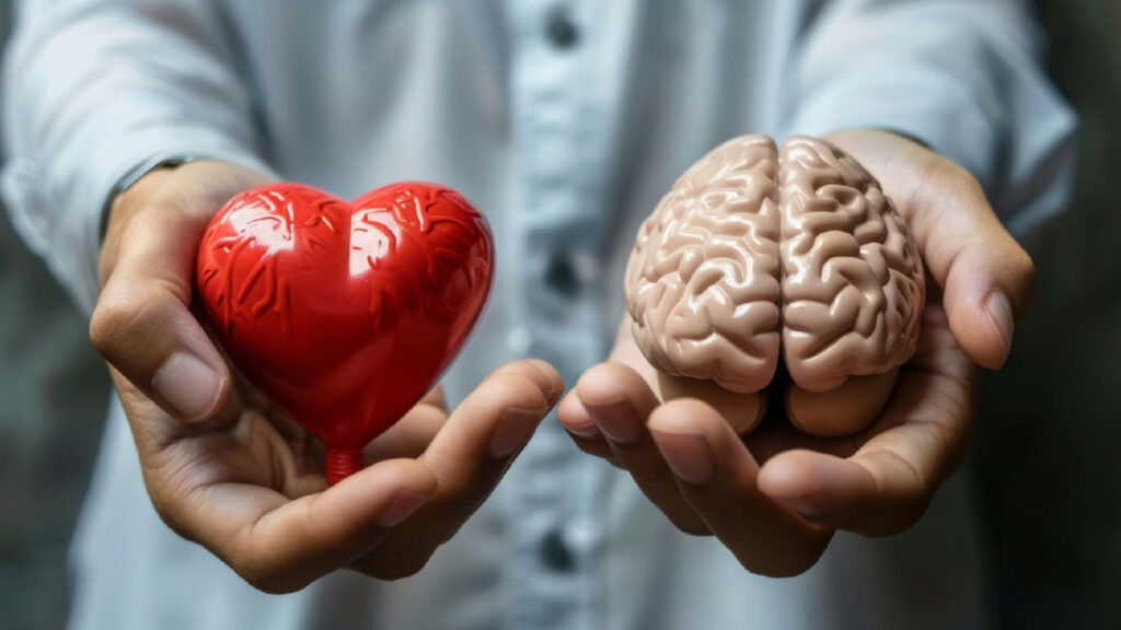 โรคหลอดเลือดหัวใจกับ Stroke เกี่ยวข้องกันอย่างไร? ความเสี่ยงร่วม